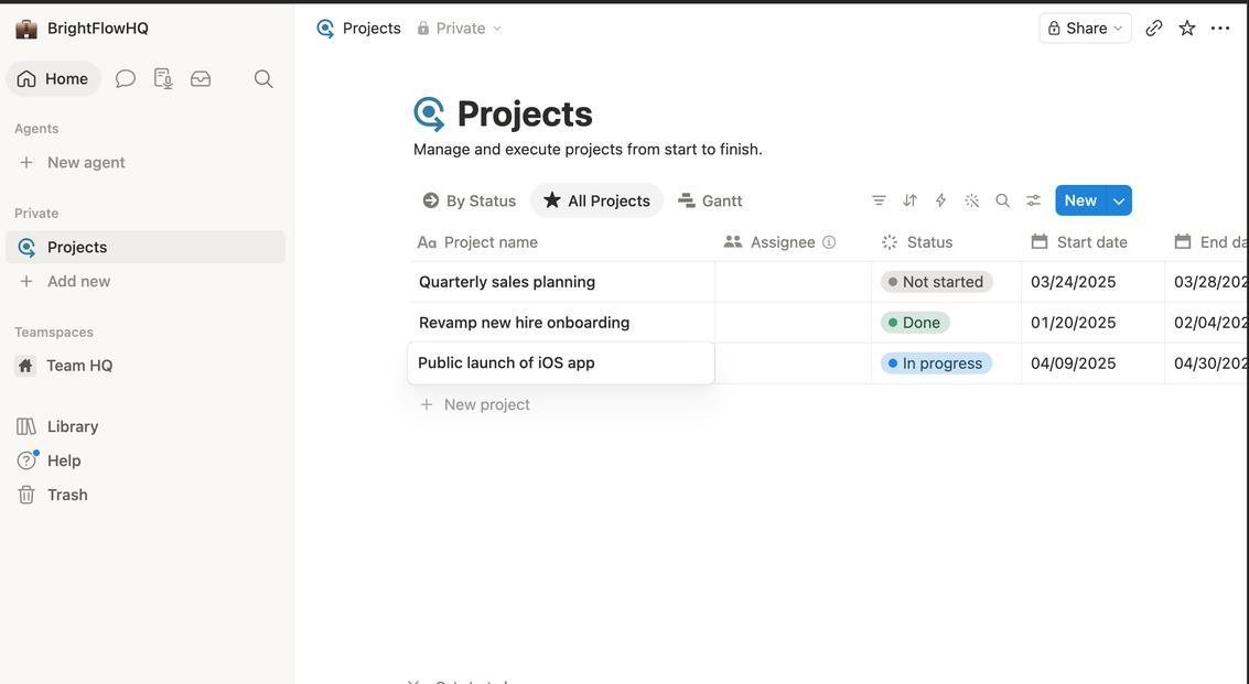 Notion all-projects table view with status and dates